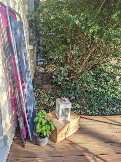 Appartement Cosy Pres De Toulouse Et Du Gers 외부 사진